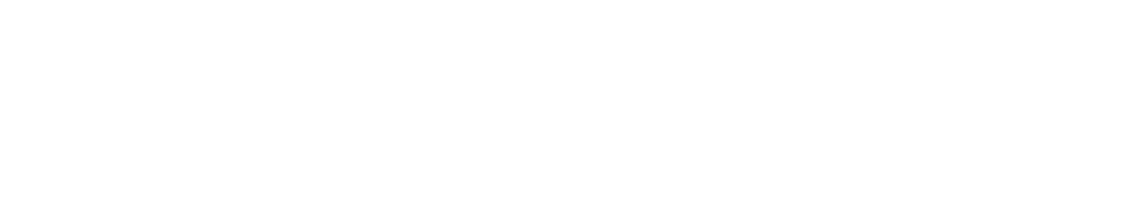 Speedy Fusion
